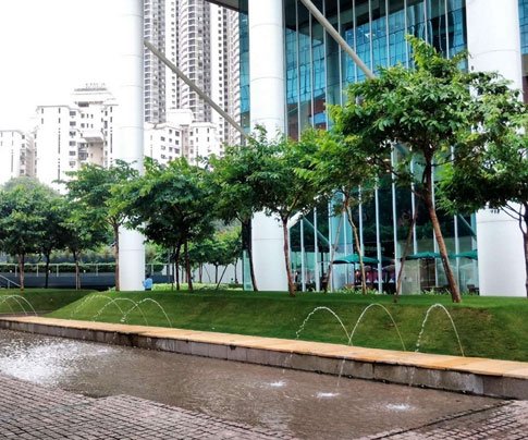 Lessons of Resilience