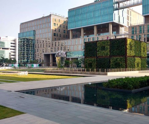 Lessons of Resilience