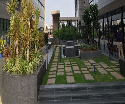 Lessons of Resilience