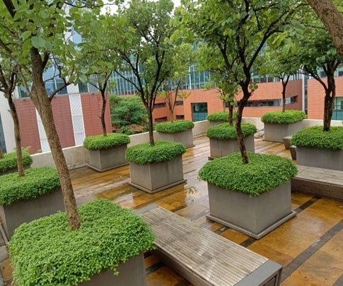 Lessons of Resilience