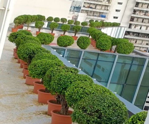 Lessons of Resilience