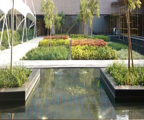 Lessons of Resilience