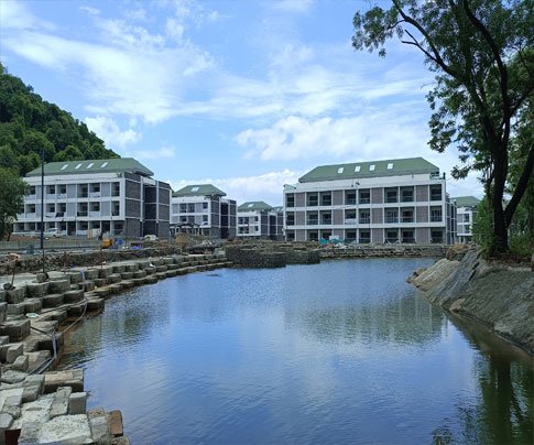 Lessons of Resilience